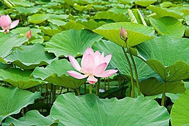 《绯红结系》导演想要开发一个更加成人的续作